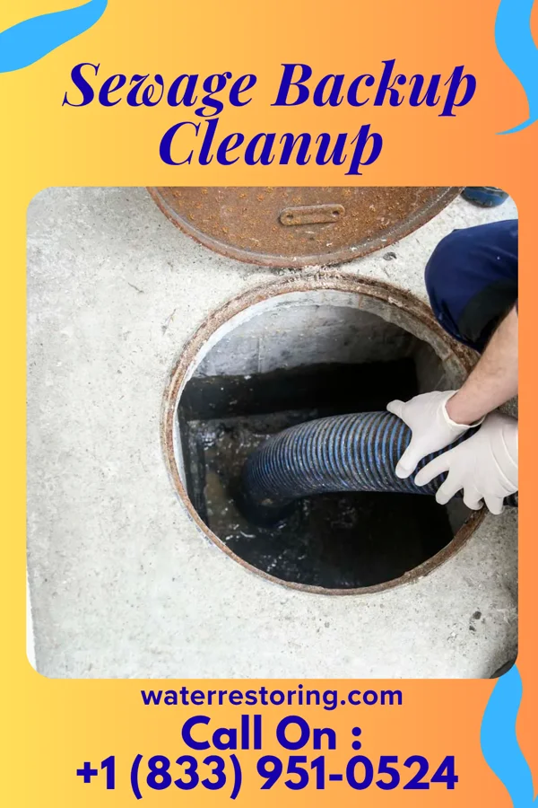 Sewage Backup Cleanup in Mitchell, NE